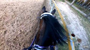 СЧИТАЕМ ТЕМПЫ И ПРЫГАЕМ | КОНКУР | GoPro