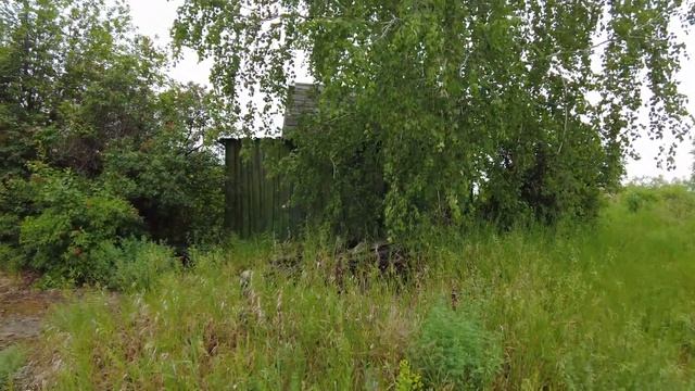Заброшенный Дачный Поселок СНТ "Барнаульский" Алтайский Край смотреть онлайн