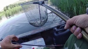 Троллинг на Tohatsu MFS 9.8, рыбалка на реке Дон.