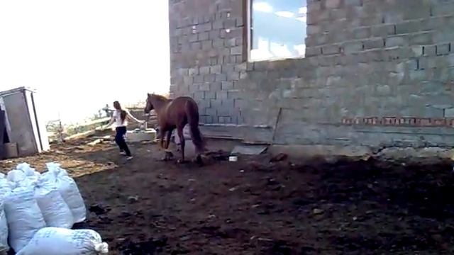 Дело было вечером.Делать было нечего. смотреть онлайн