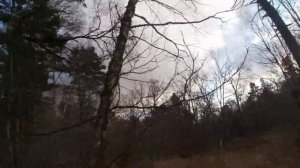 Охота на копытных с подхода .Отпуск в лесу