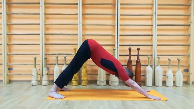 Danda Vinyasa part 1318   Данда Виньяса часть 1318
