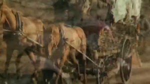 СТАРЫЙ ЦЫГАН