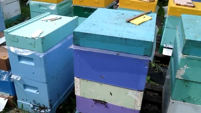 Окончание трилогии,рой дома. смотреть онлайн