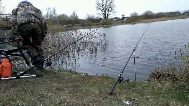 КРУПНЫЙ КАРАСЬ РАННЕЙ ВЕСНОЙ. Закидушки и поплавок #3 смотреть онлайн