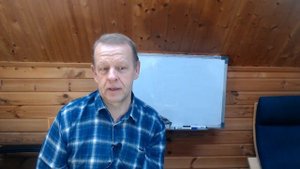 Естественное пчеловодство в колодах, бортях. Бортевое пчеловодство и бортничество