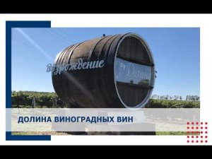 Как сделать виноградное вино/Долина виноградного вина/Уход за виноградом