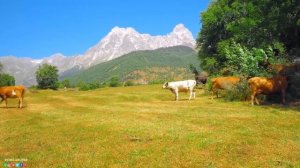 Самая красивая мелодия в мире... Я плакала, когда услышала эту песню!#музыкадлядуши