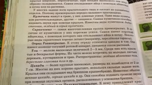 Биология/7 кл/ Отряды насекомых с неполным превращением/03.02.22