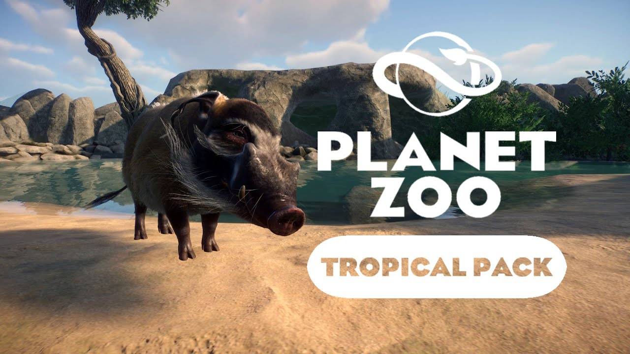 Planet Zoo: Tropical Pack - Кистеухая свинья