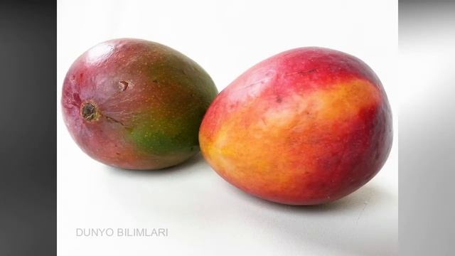 Mango va uning foydalari смотреть онлайн