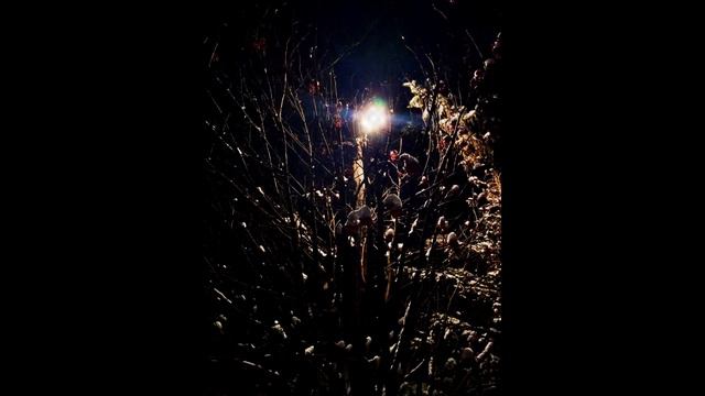 тысяча звёзд-(рейс 21)