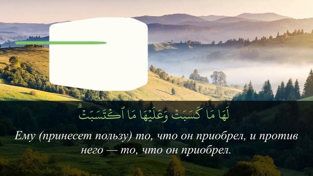 Шайтан бежит услышав чтение этих аятов Корана