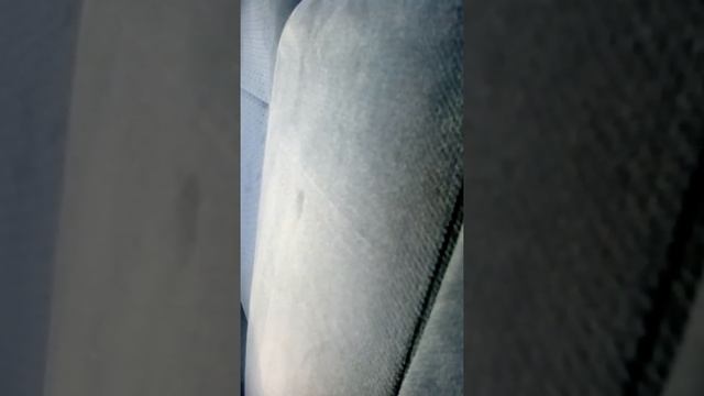овалы в полке