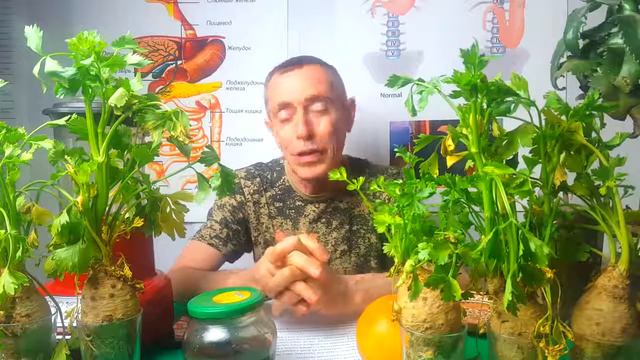 Виталий Островский. Герпес. Секрет лечения.