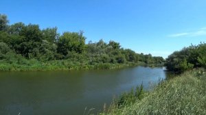 В поисках Голавля на реке Тетерев.Ловлю на куриную печень.