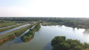 Новокубанск пруд.