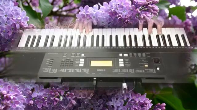 одинокая ветка сирени на синтезаторе скачатьвидеосютуба рф 2 скачатьвидеосютуба рф смотреть онлайн