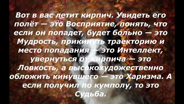 Сборник НЕтипичных анекдотов за неделю #4 Смешные жизненные анекдоты! смотреть онлайн