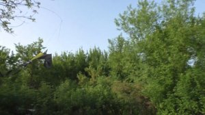 ЩУРКА. Пасека. Как избавиться