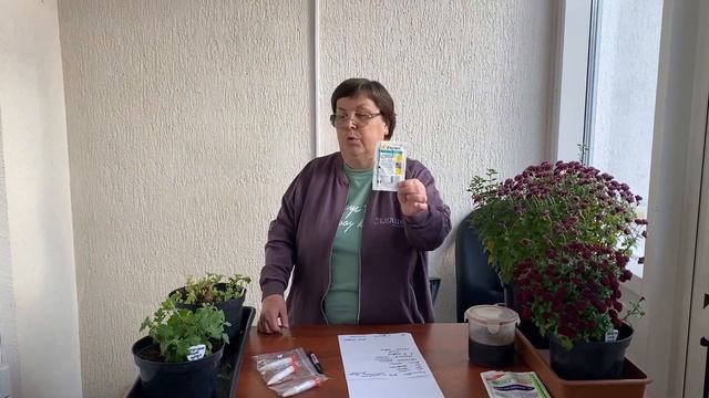 Хризантема мультифлора: хранение в подвале смотреть онлайн