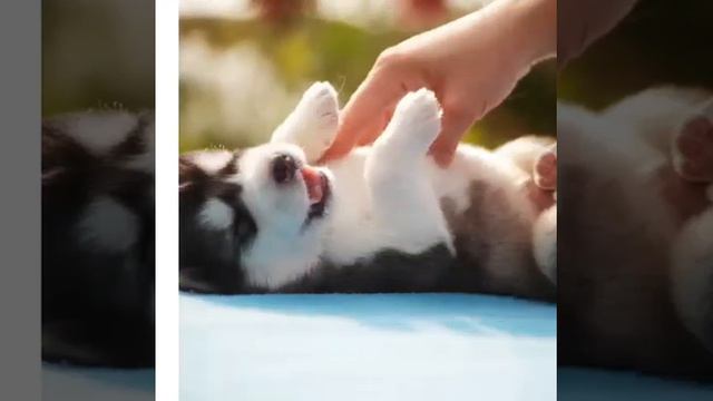 Ich hab meine aller beste Freundin Erika lieb смотреть онлайн