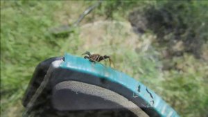 Фото-отчёт всех выездов  сезона 2017 г.