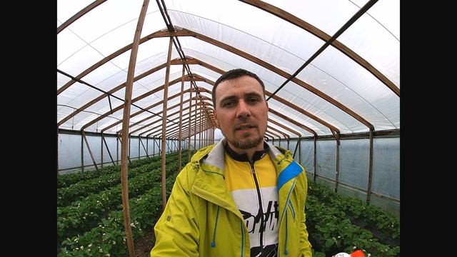 Кальций для клубники.