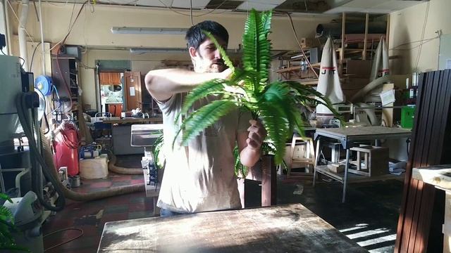 Искусственные растения смотреть онлайн