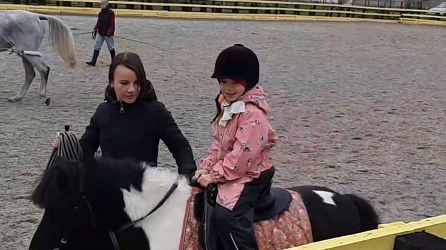 Что подарить ребёнку на 5 лет. Конный спорт для детей. Плюсы и минусы верховой езды. С чего начать