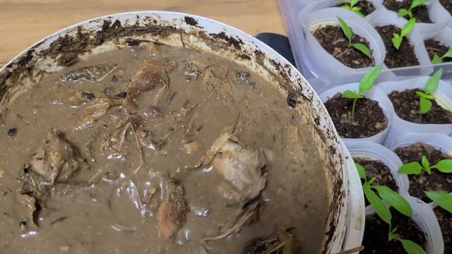 Как сохранить готовую БАРМАТУХУ смотреть онлайн