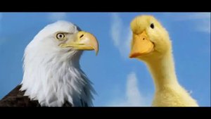 Бодо Шефер - Притча про Орла и Утку