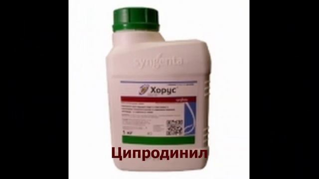 #Средствазащитыдляроз#Фунгициды. Профилактика.