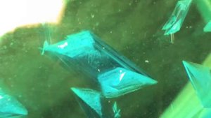 Рост кристаллов халькантита