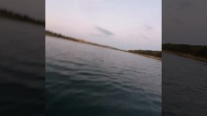 крымская рыбалка . на чилене на раслобоне на рыбалке, кольчугино, поймали огромного окуня в крыму