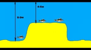 ГДЕ ИСКАТЬ КРУПНОГО ОКУНЯ ЗИМОЙ. ЛУЧШИЕ ПРИМАНКИ ДЛЯ ЛОВЛИ
