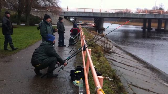 Пирита. Ноябрь 2010. смотреть онлайн