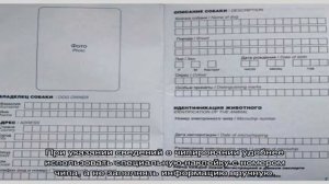 Ветеринарный паспорт для собаки: как указать вид