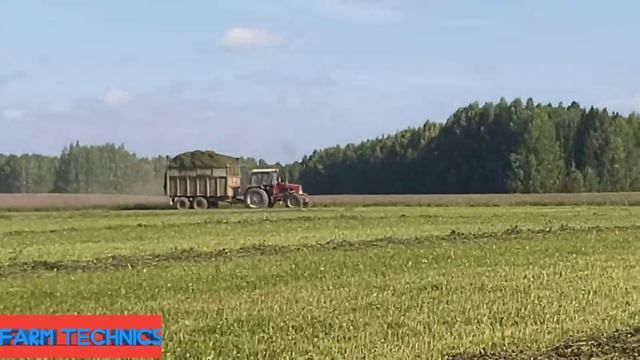 Акрос и Вектора на уборке пшеницы. Бюлер пашет. Заготовка силоса. смотреть онлайн