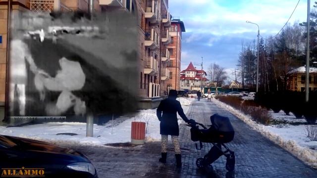 Тепловизор FLIR TK | Магазин ALLAMMO.RU смотреть онлайн