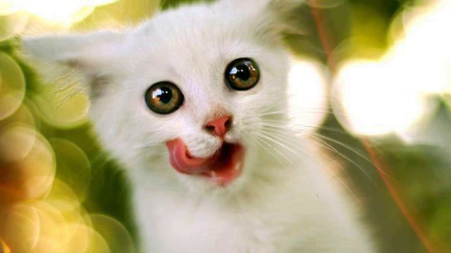 Музыка лето 2014. Красивая! Душа полетела! смотреть онлайн