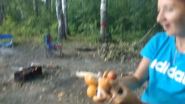 Крутое приключение на Тигоде (ВЛОГ) смотреть онлайн