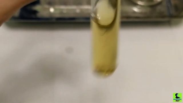 Какая среда в отваре кураги? Фенолфталеин в помощь! смотреть онлайн