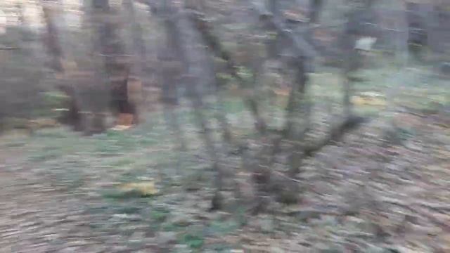 Законченная работа. Мишка Тедди. Прогулка. Эверест. Новый интересный процесс. Вышивка крестом. смотреть онлайн