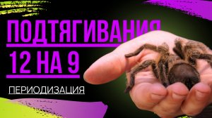 Периодизация. Теперь 12 подтягиваний в 9 подходах!!!!