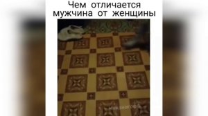 Чем отличается мужчина от женщины