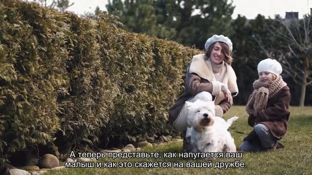 У щенка режутся зубы: что делать? смотреть онлайн