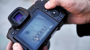 Canon eos R. Обзор для фотографа.