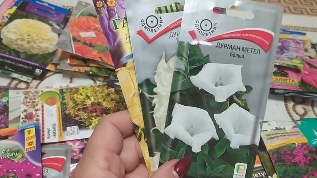 Очень большой выбор однолетних цветов/Какие однолетнее цветы я посажу у себя в 2021 году ?