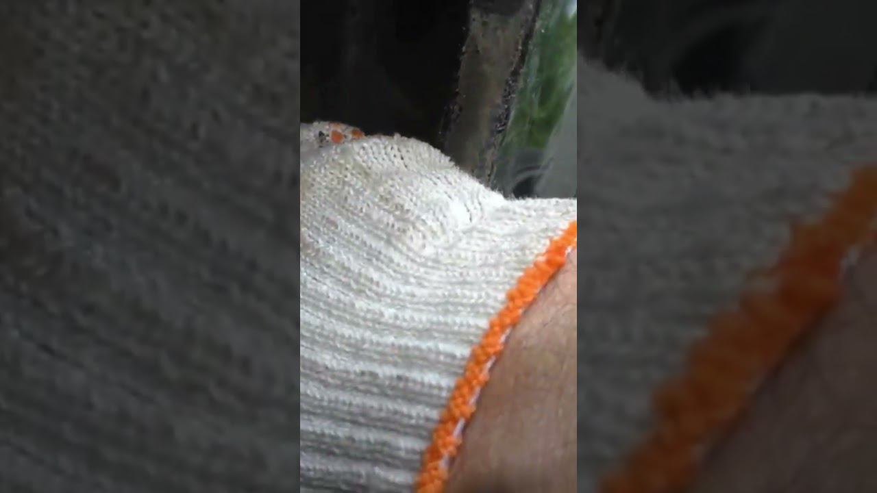 29 октября 2022 г. смотреть онлайн